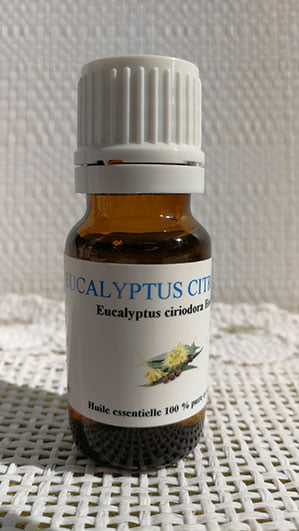 Huile essentielle eucalyptus citronné