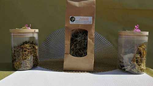 Tisane Pays Ambaville