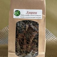Tisane pays ayapana
