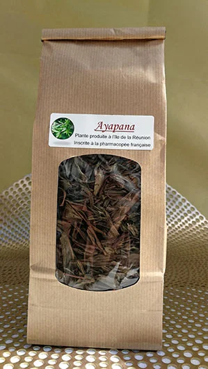 Tisane pays ayapana