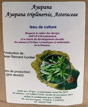 Tisane pays ayapana