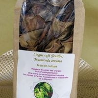 Tisane pays lingue-cafe
