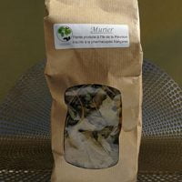 Tisane pays murier