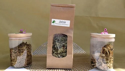 Tisane pays stevia