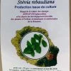 Tisane pays stevia