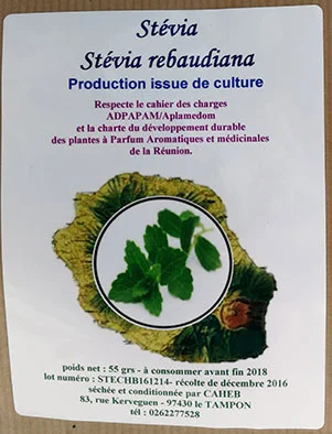 Tisane pays stevia