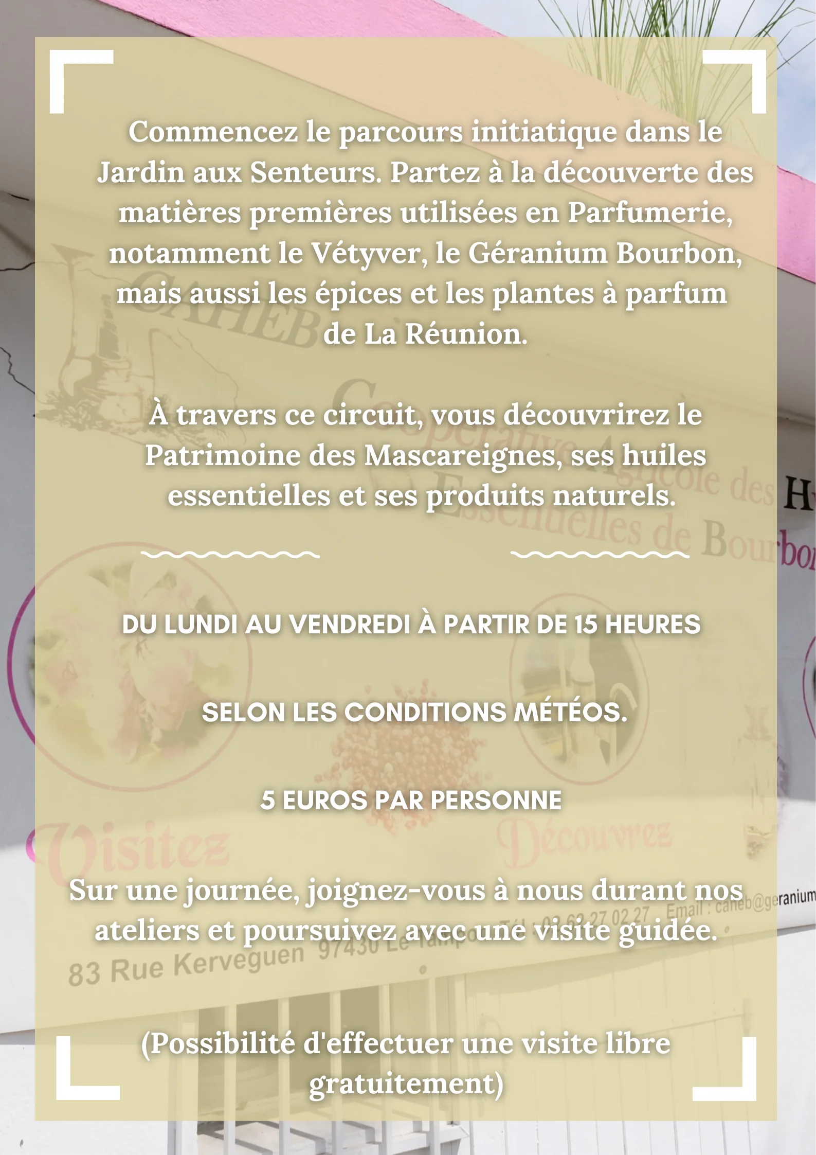 visite